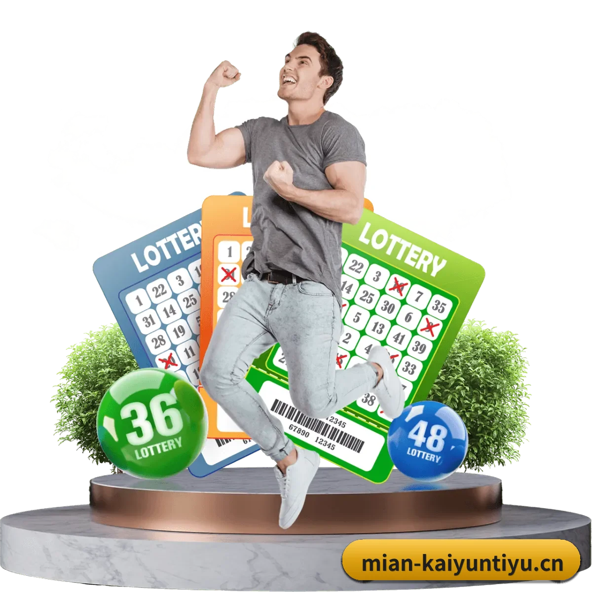 kaiyun体育APP APP 界面